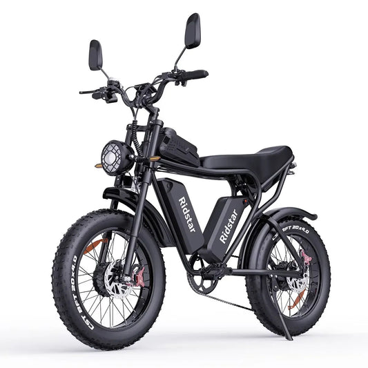  Off-Road E-Bike | Ridstar Q20 Pro | 2000W Dual Motor 40AH Dual Battery Top Speed 60KM/H 20*4 Fat Tire Electric Bike Mountain Electric Bicycle