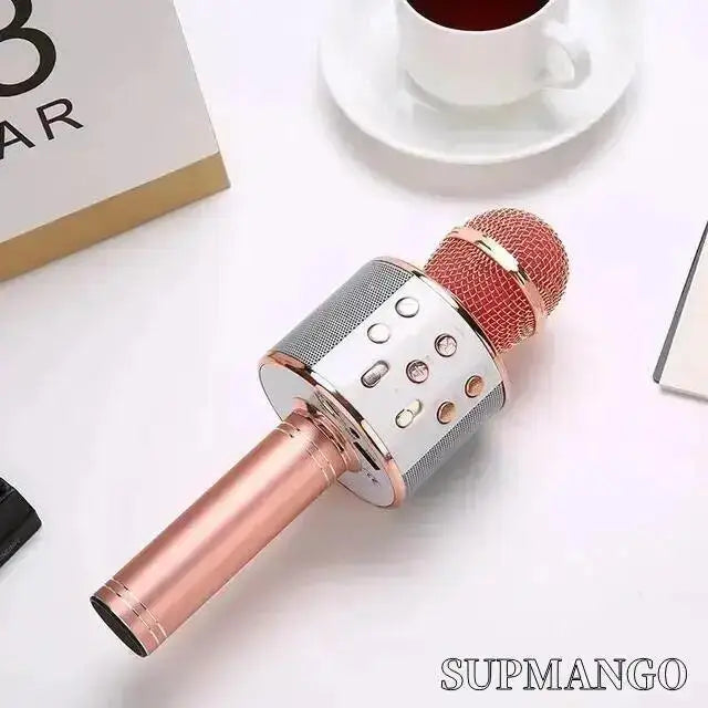 Professional Wireless Handheld Karaoke Microphone with USB Speaker for Kids and Music Recording.