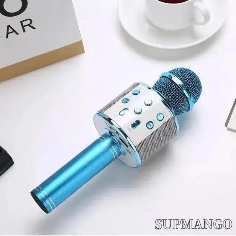 Professional Wireless Handheld Karaoke Microphone with USB Speaker for Kids and Music Recording.