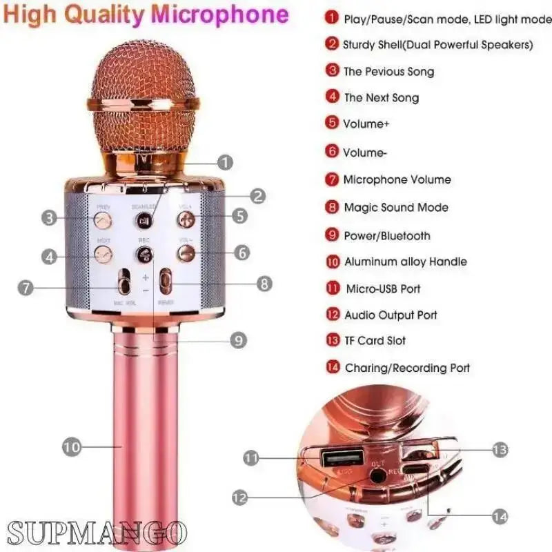 Professional Wireless Handheld Karaoke Microphone with USB Speaker for Kids and Music Recording.
