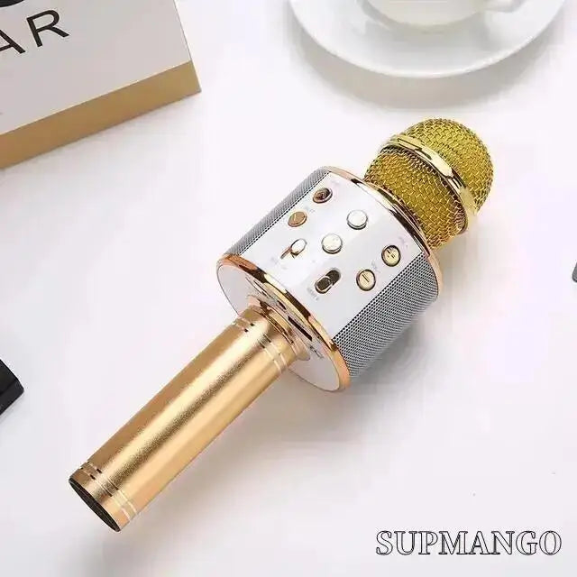 Professional Wireless Handheld Karaoke Microphone with USB Speaker for Kids and Music Recording.